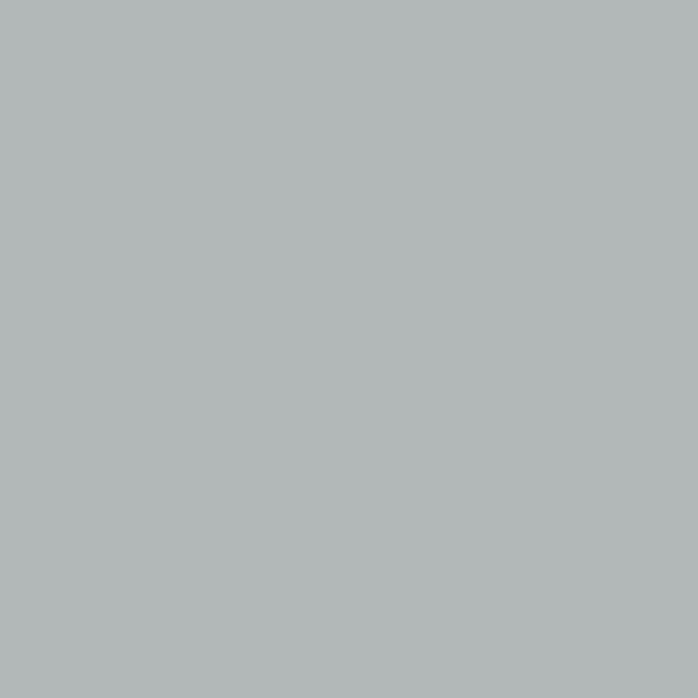Grey Case
