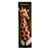 GrowthChart_Giraffe_PR_LL
