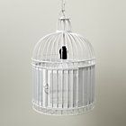 White Like a Bird in a Cage Pendant Lamp