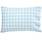 Blue Lattice Case
