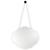 Mirror_Marvelous_Scallop_LL_0112