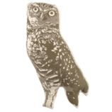 Camp Throw Pillow (Owl)