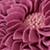 Pillow_Dahlias_Felt_Dertails_11