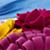Pillow_Dahlias_Felt_Dertails_13