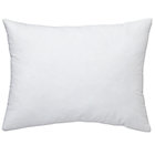 Natural Harmony™ Toddler Pillow Insert