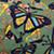 Rug_Butterfly_GR_Detail_13