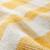 Rug_Gingham_YE_LL_Details_11