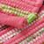 Rug_Rag_PI_Detail_06_1111