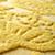 Rug_RaisedFloral_YE_Detail_01_1111