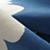Rug_Wave_BL_Detail_11