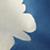 Rug_Wave_BL_Detail_3