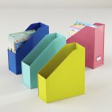 I Could've Bin a Container (Magazine Butler)