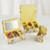 Storage_Flower_Box_YE_V1