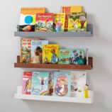 Straight and Narrow Book Ledge