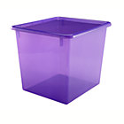 Purple 10" Top Box