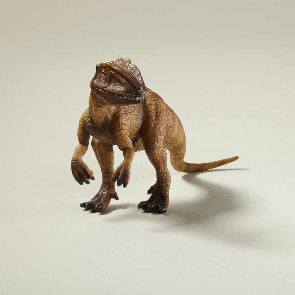 Allosaurus