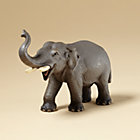 Asian Elephant