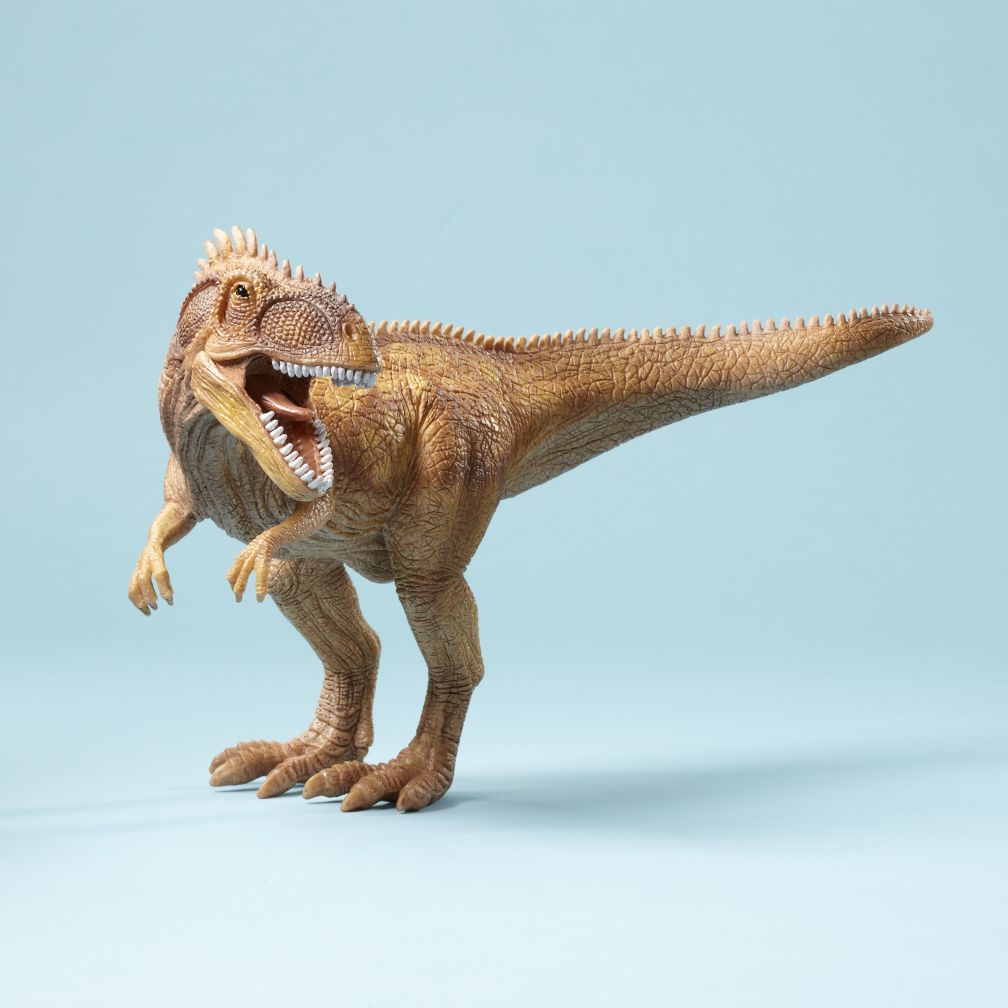 Giganotosaurus