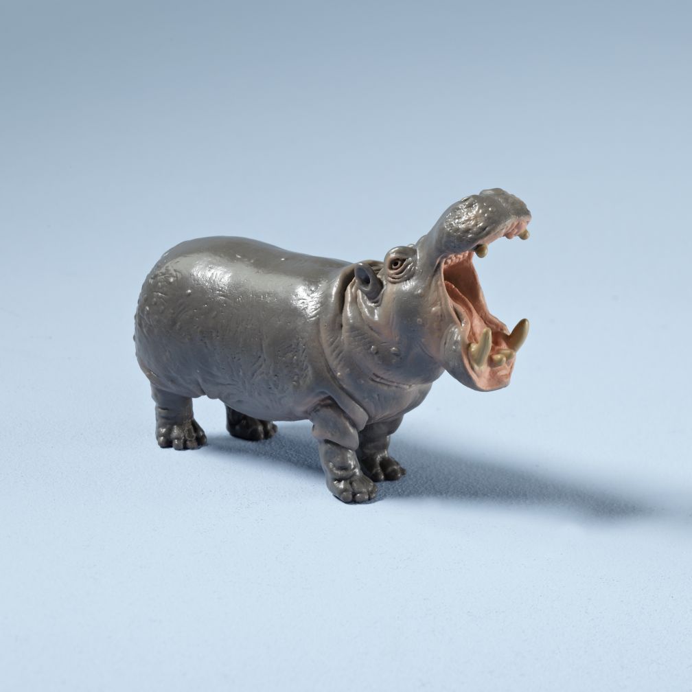 Hippopotamus