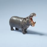 Hippopotamus