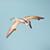 Toy_Shleich_Quetzalcoatalus_0811