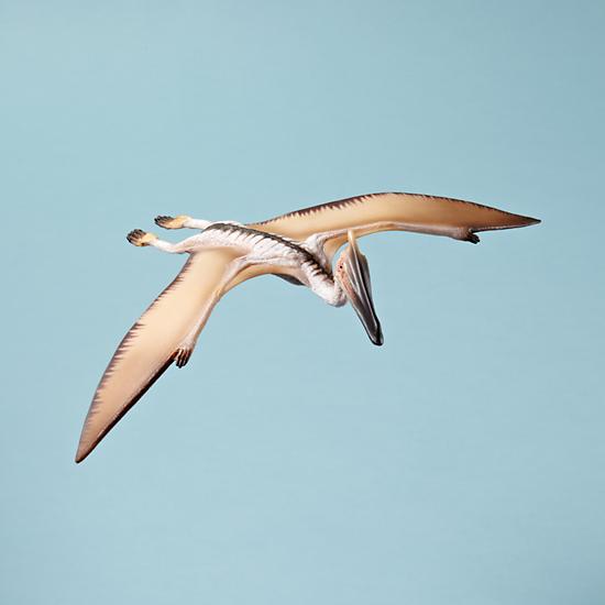 Toy_Shleich_Quetzalcoatalus_0811