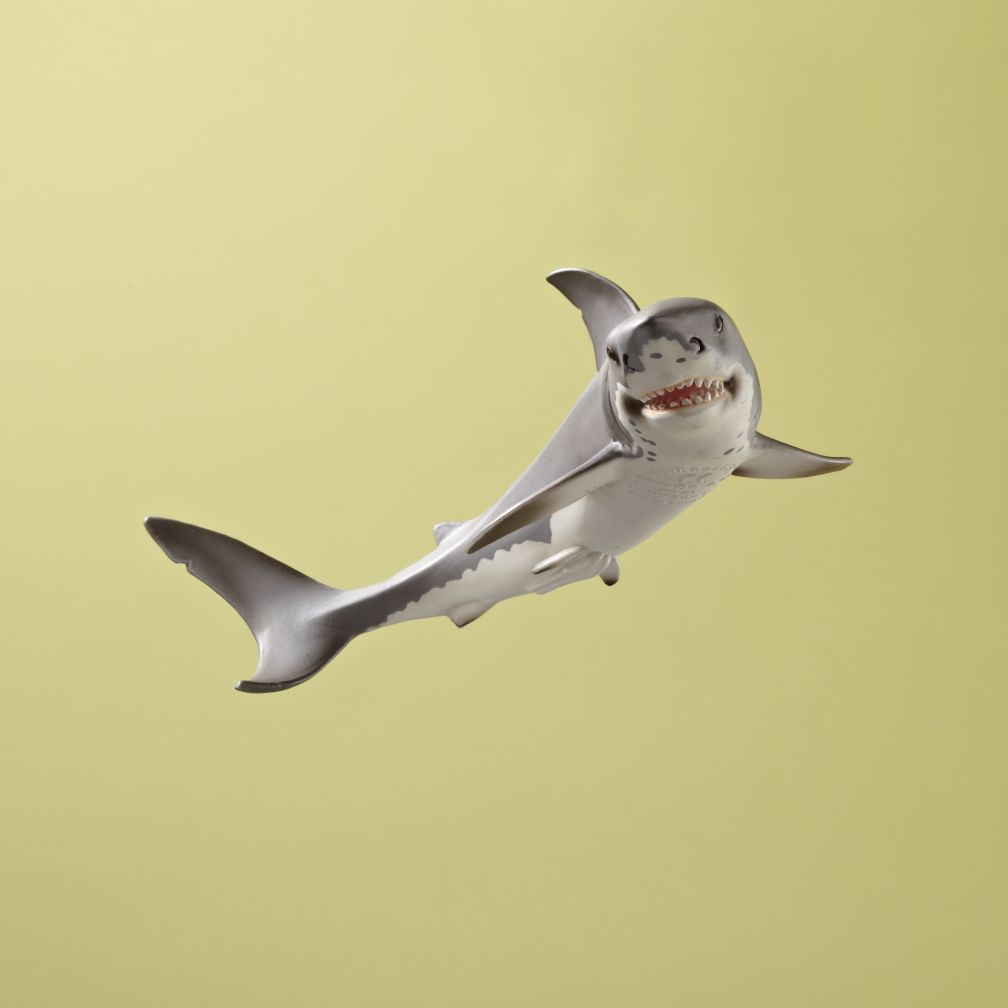 White Shark