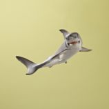 White Shark