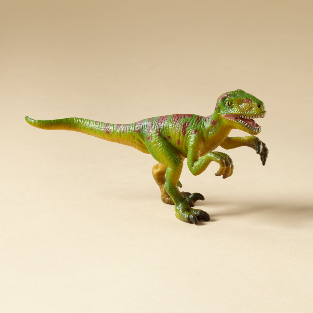 Velociraptor