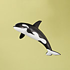 Black and White Whale