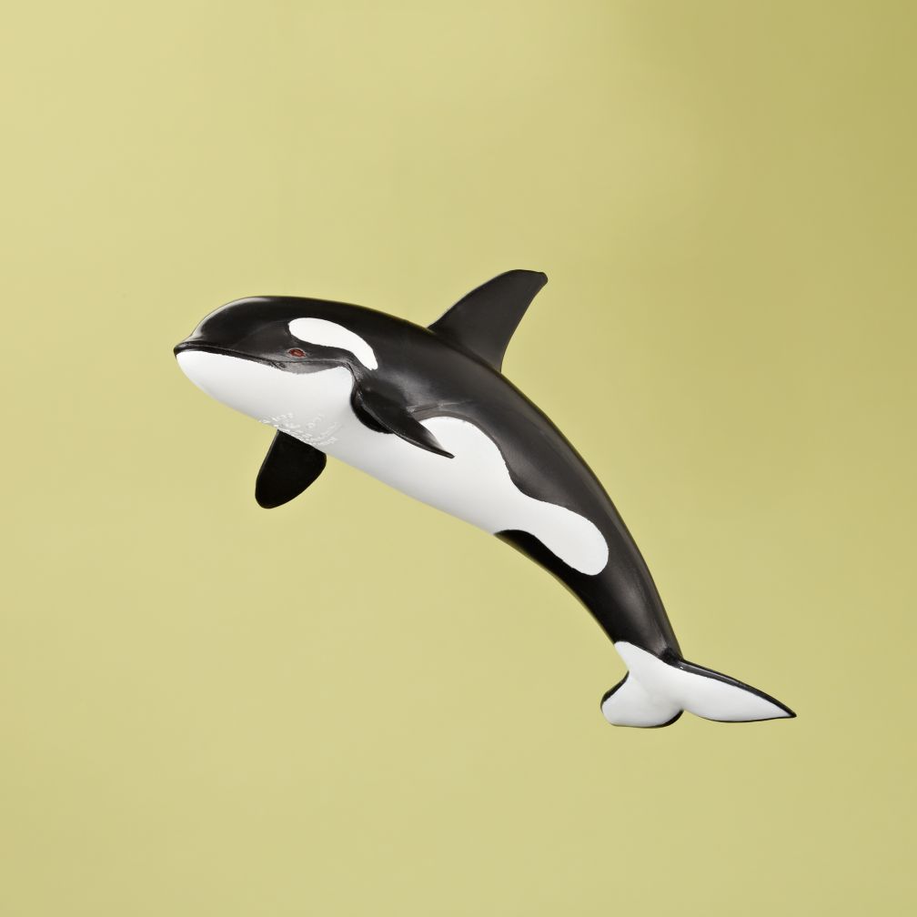 Black and White Whale