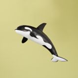 Black and White Whale