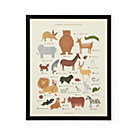 Rifle Paper Framed Animal Alphabet Poster
