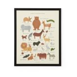 Rifle Paper Framed Animal Wall Art