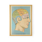 Brain Wall Art
