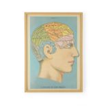 If I Only Had A Brain Framed Wall Art