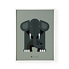 Menagerie Elephant Wall Art