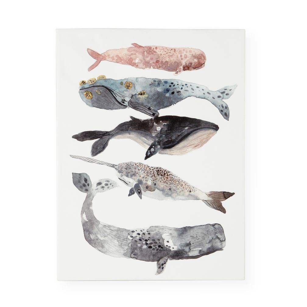 Five Whales Canvas Wall Art