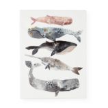 Five Whales Canvas Wall Art