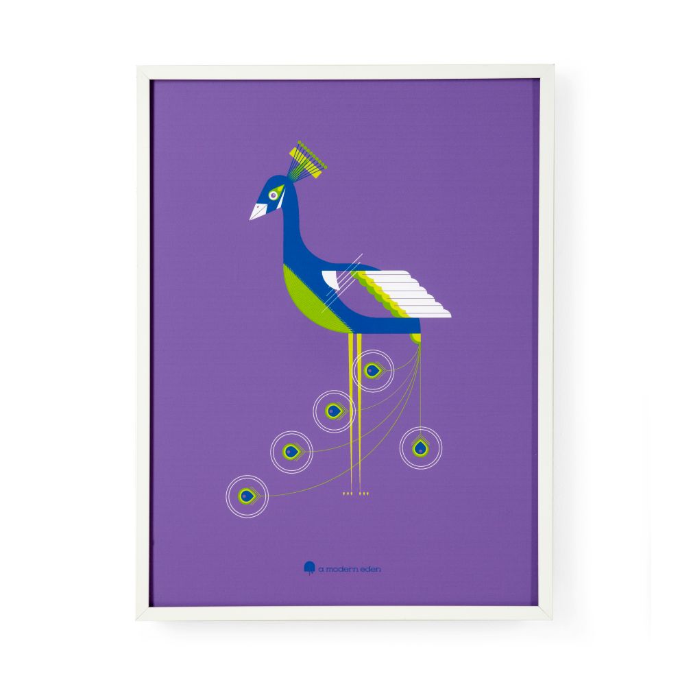 Modern Menagerie Framed Wall Art (Peacock)