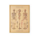 Bare Bones Framed Wall Art