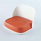 Orange Booster Seat
