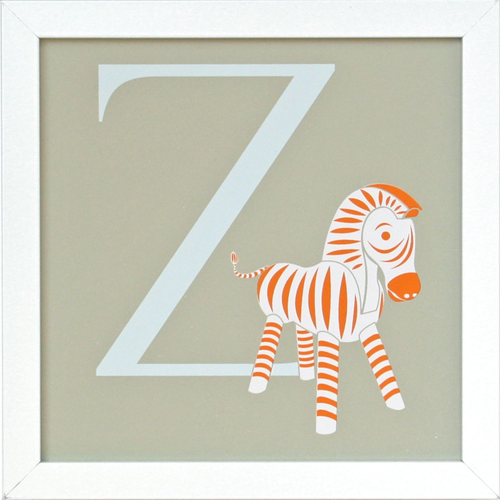 Not Your Usual Alphabet Framed Letter Z