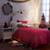bandofgoldbed_fall32012